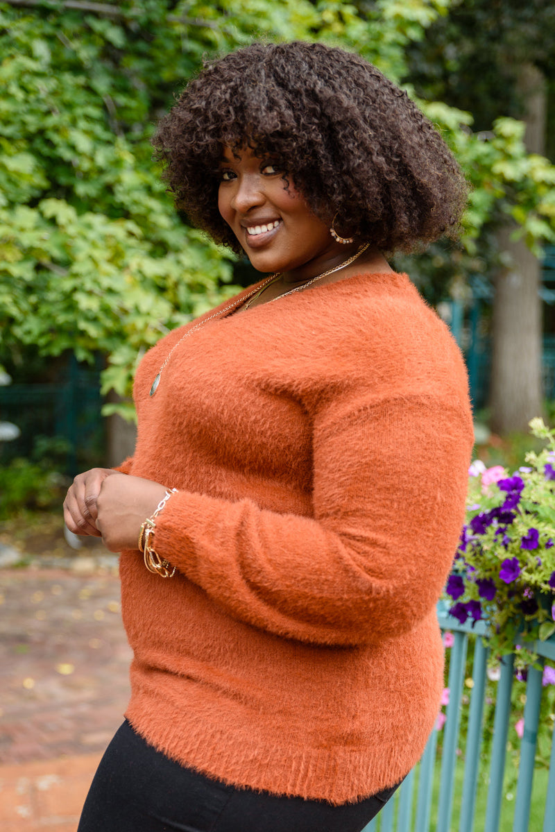 Sierra Long Sleeve Eyelash Sweater Knit Top In Rust
